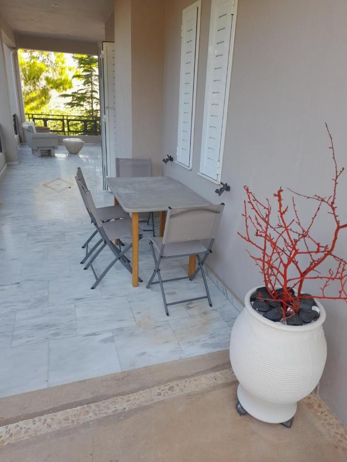 Suite With Garden Agia Marina  Exterior foto